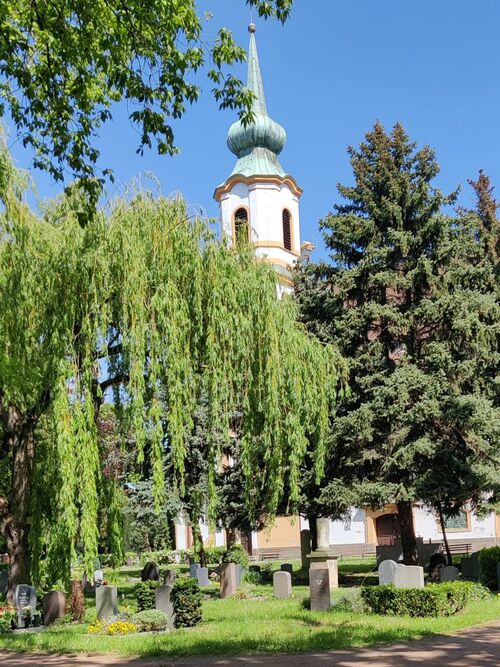 Friedhof Matthäuskirche Dresden, Teil der Jakobikirchgemeinde