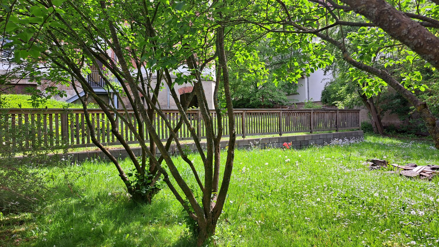 Garten hinter dem Pfarr- und Gemeindehaus Coschütz in Dresden, Teil der Jakobikirchgemeinde